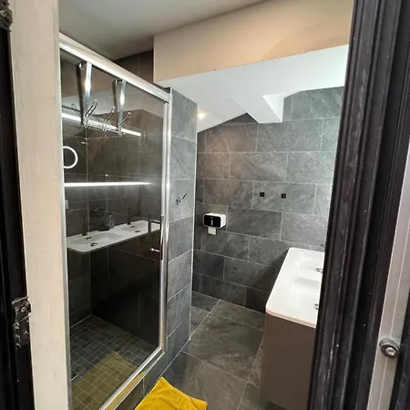 Appartement Les De Stanislas Jacuzzi & Nancy